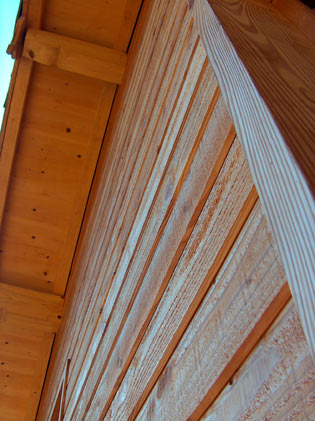 architecture ecologie